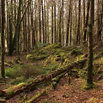 Ferienhaus Caiseal Valley *
