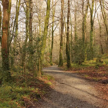 בית נופש Relaxing, Private & Cosy West Cork Getaway