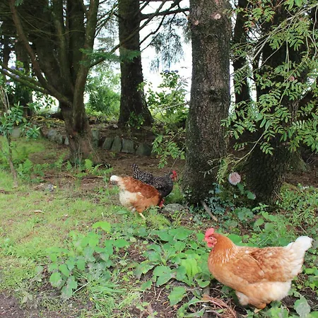 בית נופש Relaxing, Private & Cosy West Cork Getaway