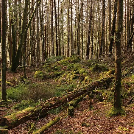 בית נופש Relaxing, Private & Cosy West Cork Getaway *