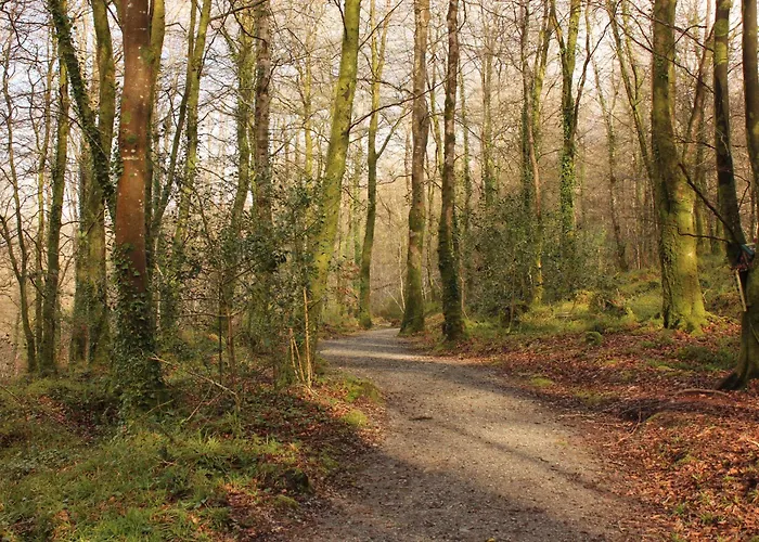 Dom wakacyjny Caiseal Valley