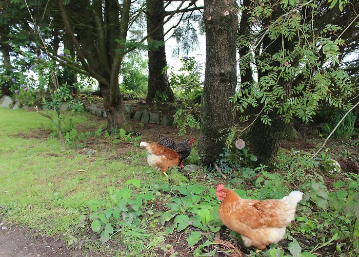 Dom wakacyjny Caiseal Valley